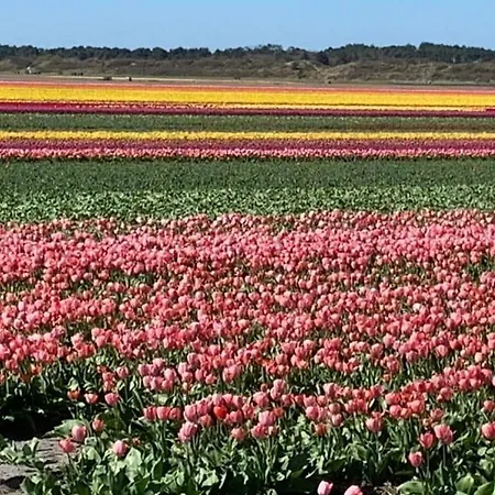 Petersdorf Comfortable Sint Maartensvlotbrug