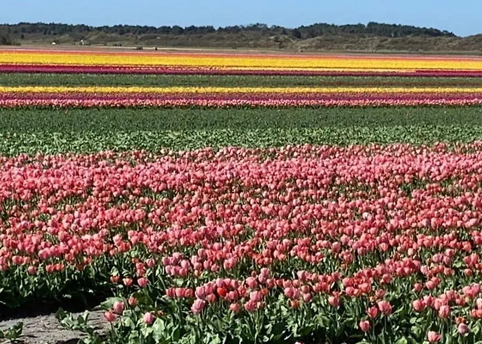 Petersdorf Comfortable Sint Maartensvlotbrug